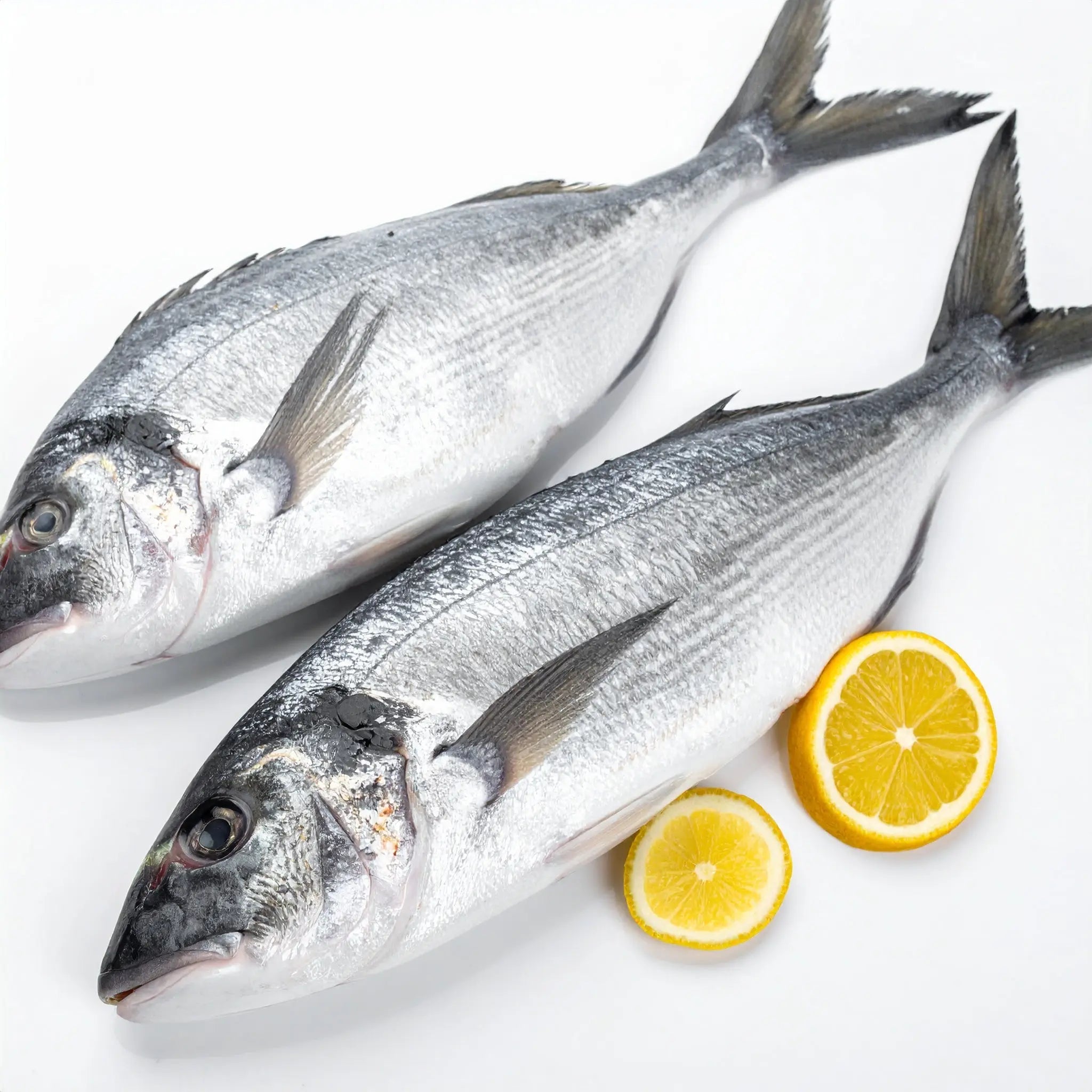 Série: à la redécouverte des aliments/ l'achigan LUSOQUOT