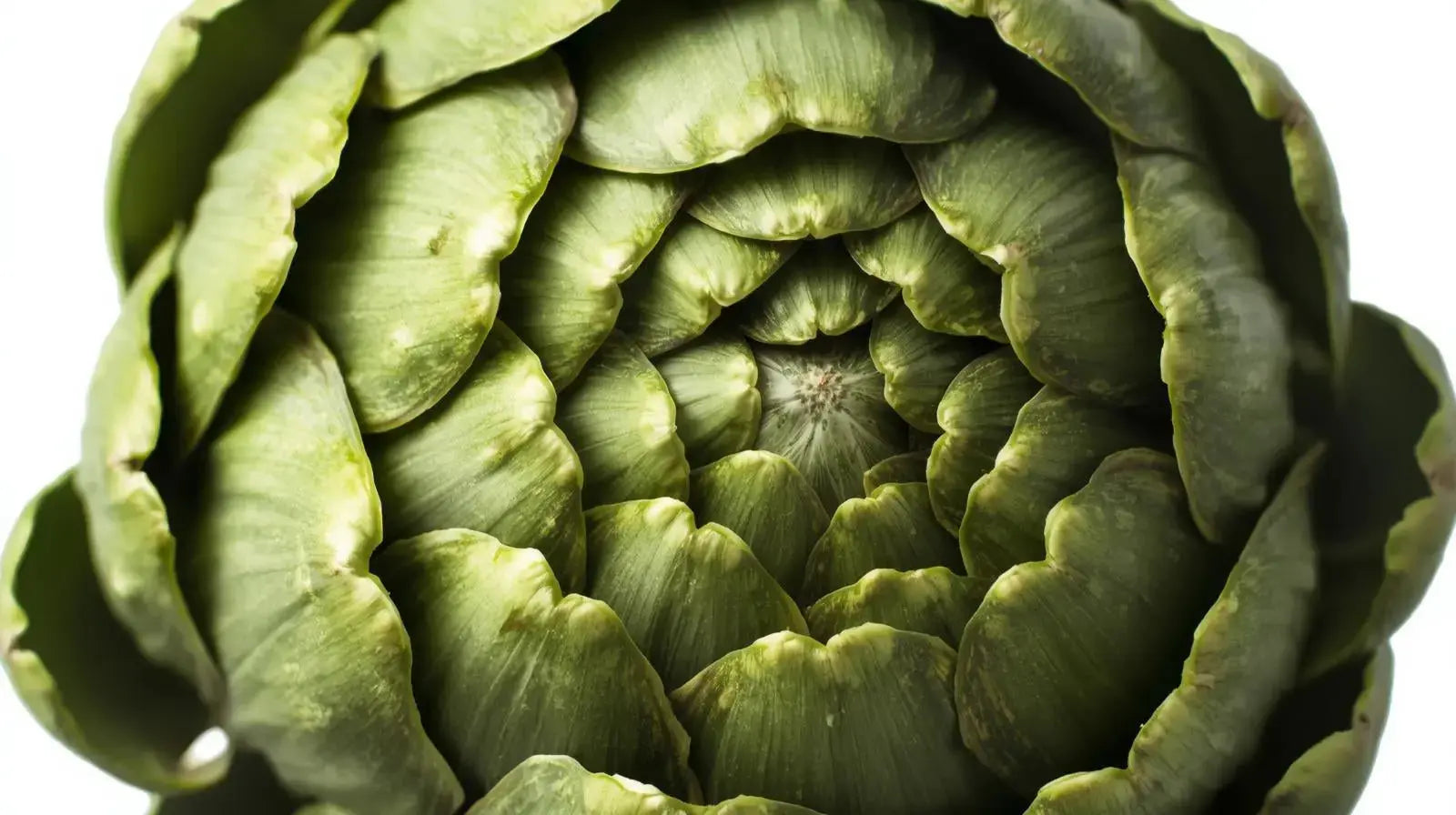 Série: à la redécouverte des aliments/ l'artichaut : le rituel détox LUSOQUOT